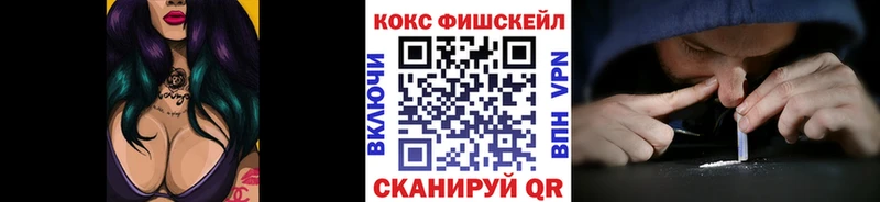 Cocaine FishScale  как найти наркотики  Суджа 
