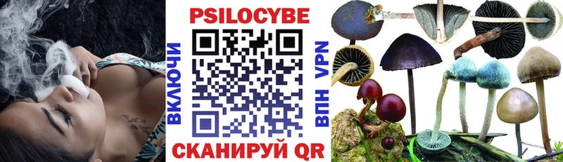 Галлюциногенные грибы мицелий Суджа